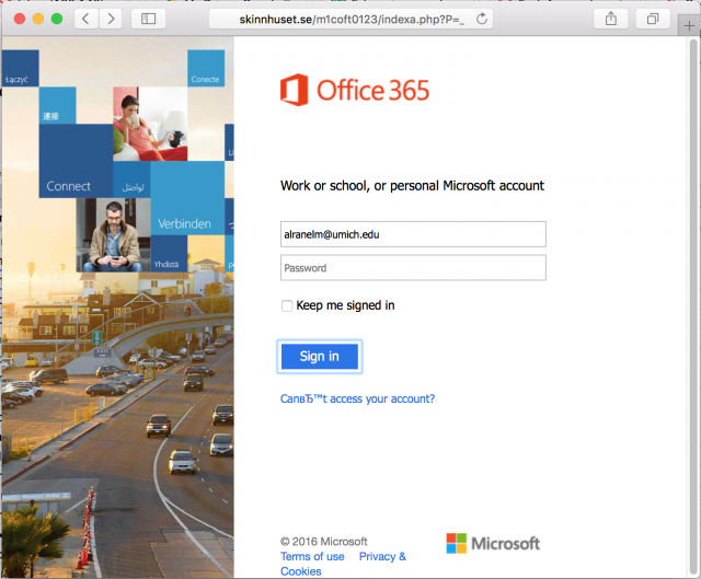 A fake Office 365 login page is presented by the link.