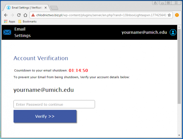 A fake verification page is presented by the link. 