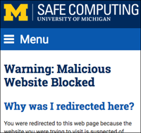 Screen shot of the safe page users are redirected to when they attempt to access a malicious site. The page says "Warning: Malicious Website Blocked.