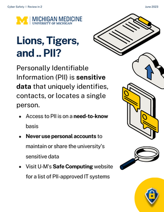 PERSONALLY IDENTIFIABLE INFORMATION poster