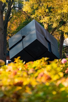 U-M campus in fall with the cube and yellow leaves.