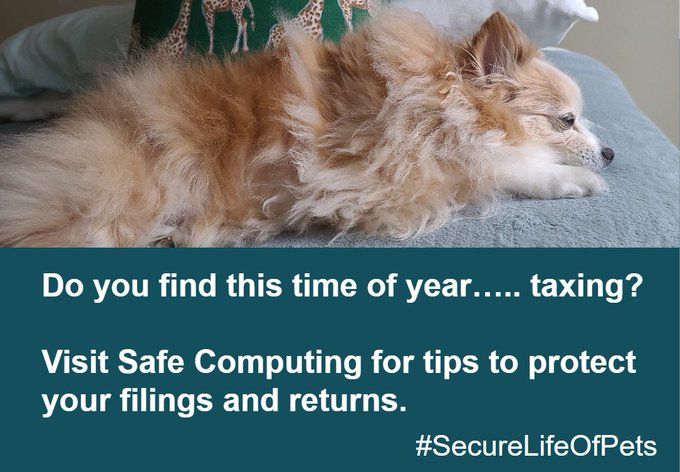 Photo of sleeping dog with text, "Do you find this time of year….. taxing?  Visit Safe Computing for tips to protect your filings and returns."