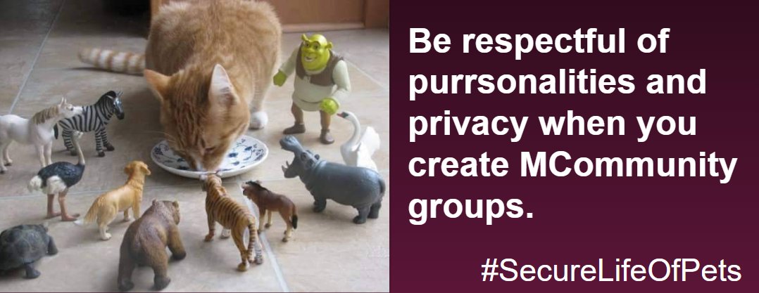 Photo of cat surrounded by toy characters. Text: Be respectful of purrsonalities and privacy when you create MCommunity groups. #SecureLifeOfPets