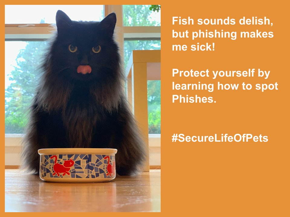 Black cat sitting on a counter in front of their food bowl with their tongue out. Text: "Fish sounds delish, but phishing makes me sick! Protect yourself by learning how to spot phishes." 