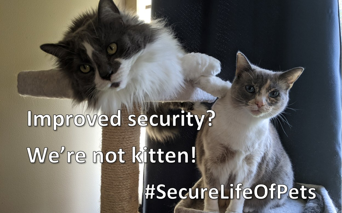 Two cats on a cat condo with text: "Improved security? We're not kitten! #SecureLifeOfPets"