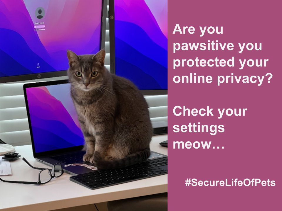 Image of cat sitting on keyboard. Are you pawsitive you protected your online privacy? Check your settings meow... #SecureLifeOfpets