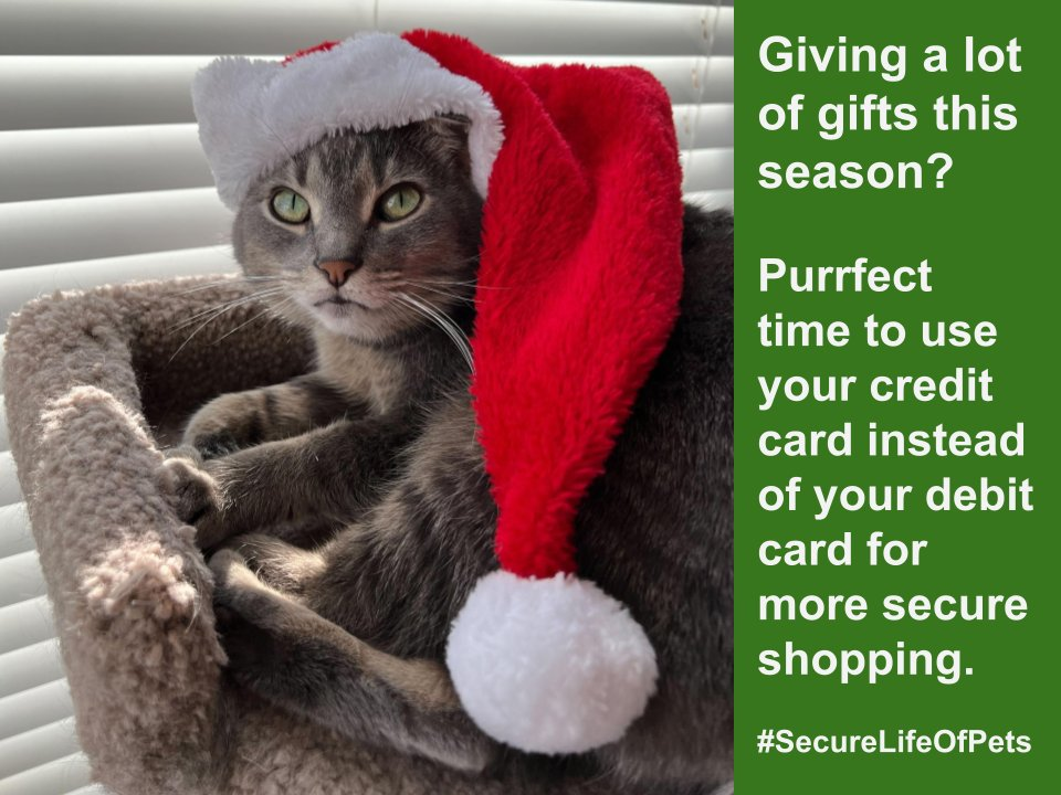 A cat wearing a santa hat. Text: "Giving a lot of gifts this season? Purrfect time to use your credit card instead of your debit card for more secure shopping." 