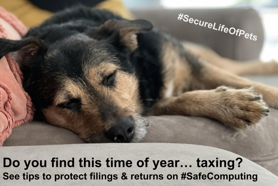 A sleeping dog on a couch and the caption: Do you find this time of year... taxing? See tips to protect filings and returns on Safe Computing.