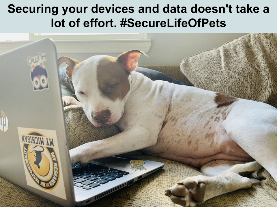 "securing your devices and data doesn't take a lot of effort" - picture of snoozing dog